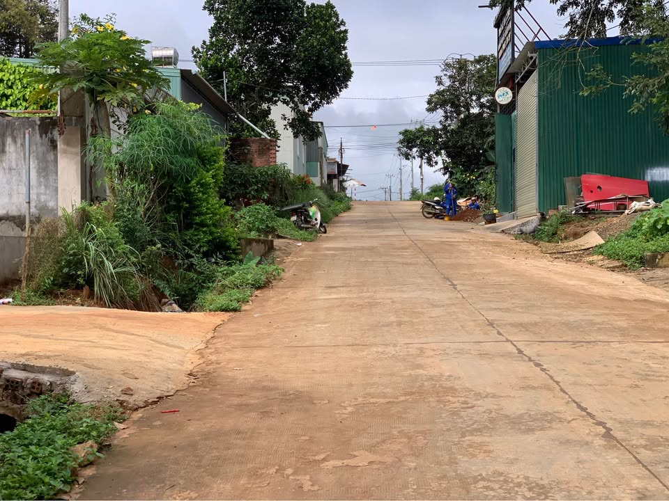 Đất thổ cư 204m² tại đường Bùi Dự, Pleiku - Giá chỉ 1.6 tỷ!