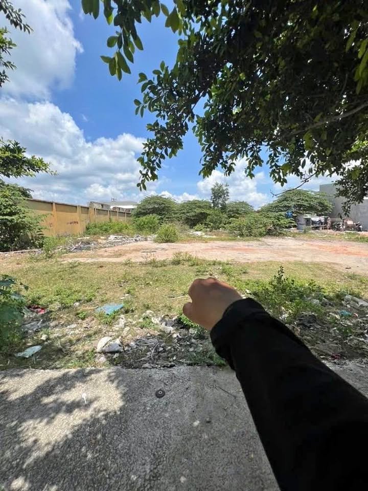 Đất nền Trần Hải Phụng Bình Tân 149m² giá 4.5 tỷ - Cơ hội đầu tư hấp dẫn!