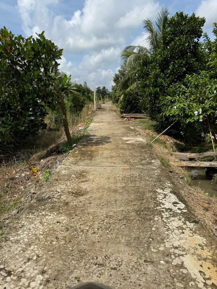 Đất nông nghiệp 10 công xã Mỹ Đức Tây, Tiền Giang giá 4.2 tỷ - Đường trước nhà rộng rãi!