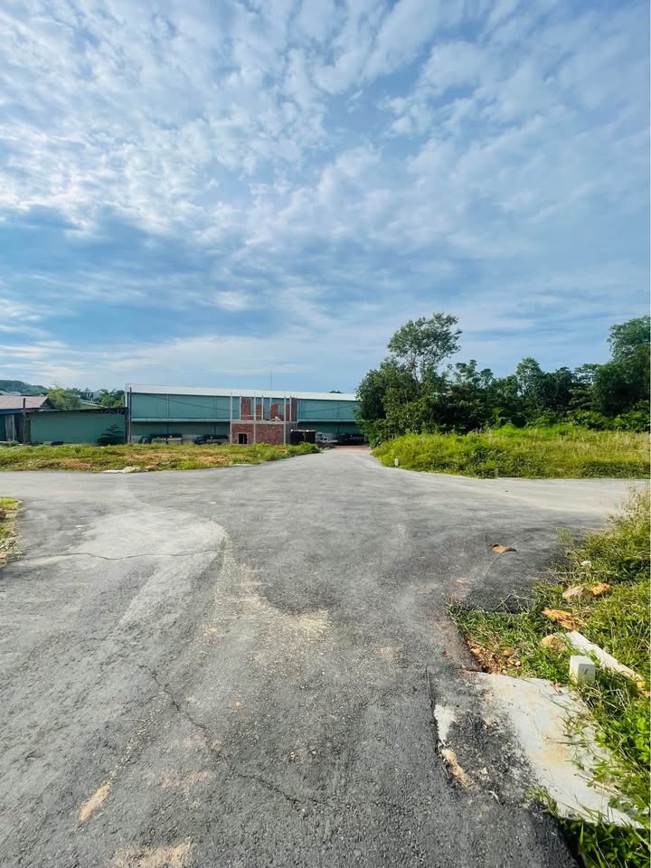 Đất bán Kiệt 301 Trưng Nữ Vương 80.9m² giá 1 tỷ - Hướng Đông Bắc, đường nhựa ô tô vào tận nơi!