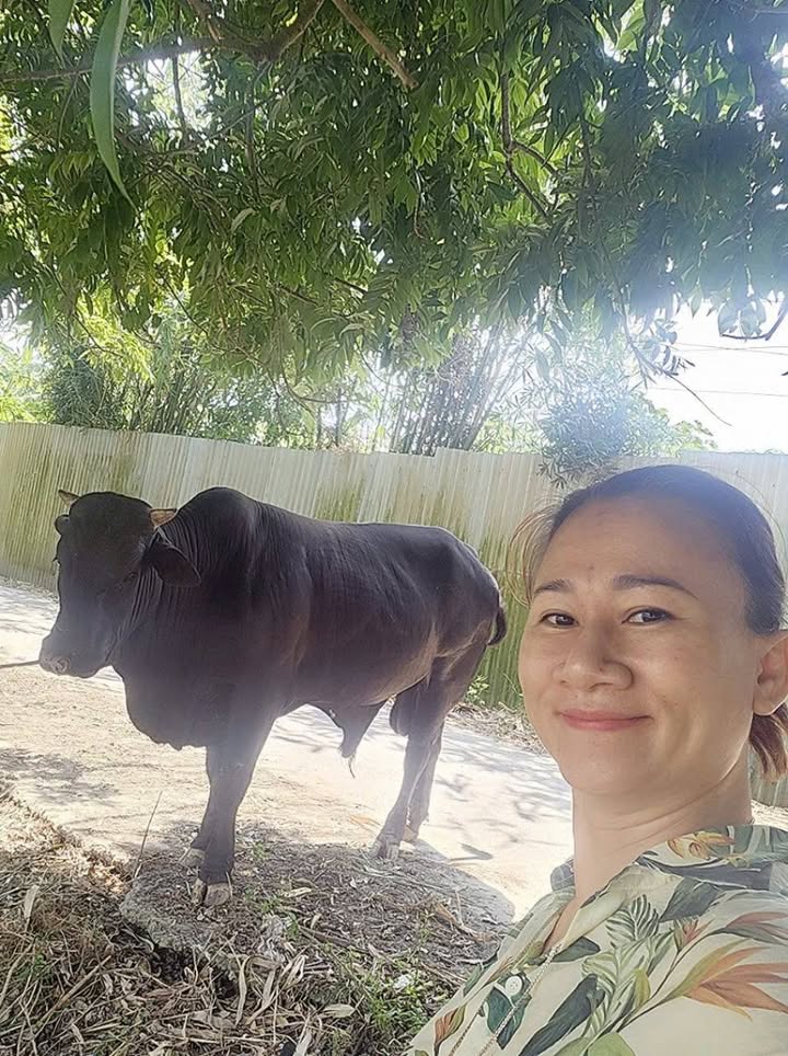 Đất nền xã Nam Phù, Phú Xuyên 468m² giá chỉ 936 triệu - Cơ hội đầu tư tuyệt vời!