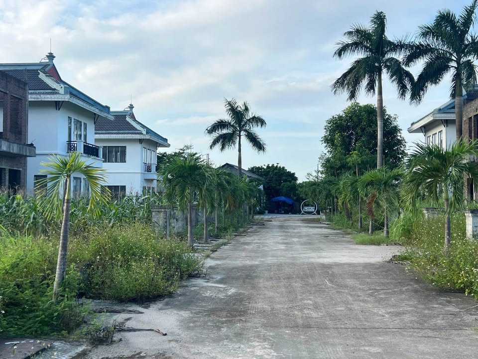 Đất cây lâu năm tại Nhuận Trạch, Lương Sơn 415m² - Cơ hội đầu tư tuyệt vời!