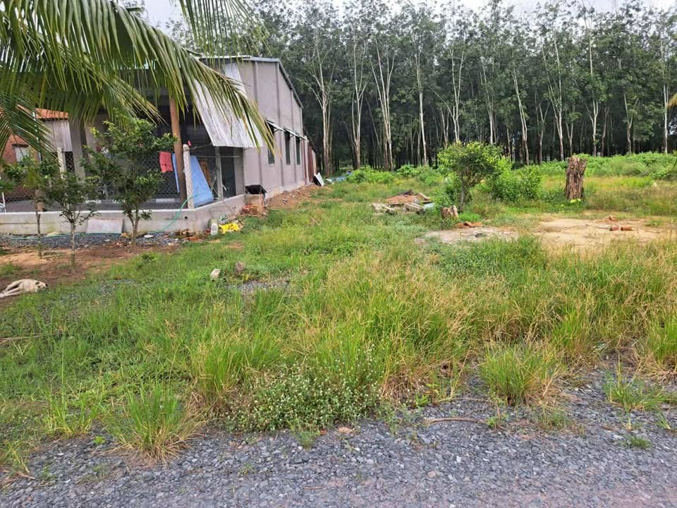 Đất nền Thạnh Đức Gò Dầu 680m² giá chỉ 6xx triệu - Cơ hội đầu tư hấp dẫn!