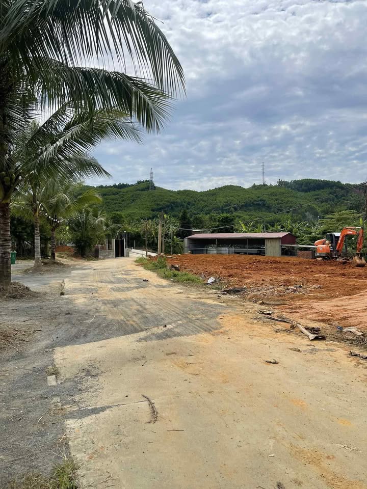 Đất Farm Hòa Ninh Đà Nẵng 3850m² - Giá Siêu Tốt, Mặt Tiền Rộng Gần 80m