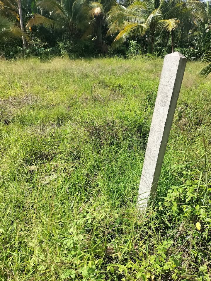 Đất thổ cư mặt tiền Nga, xã Đông Hòa Hiệp, 180m² giá 2.214 tỷ - Cơ hội đầu tư tuyệt vời!