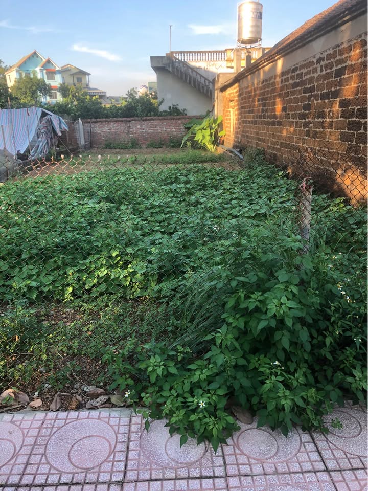 Đất nền Phú Cát Quốc Oai 117m² giá chỉ 351 triệu - Đầu tư sinh lời ngay!