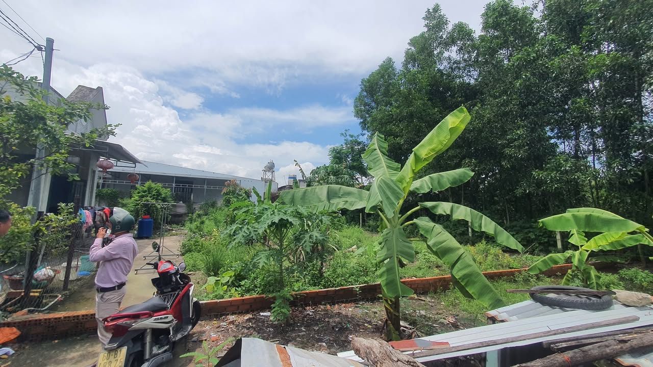 Đất nền Tân Triều Biên Hòa 352m² giá 2.05 tỷ - Chính chủ bán nhanh!