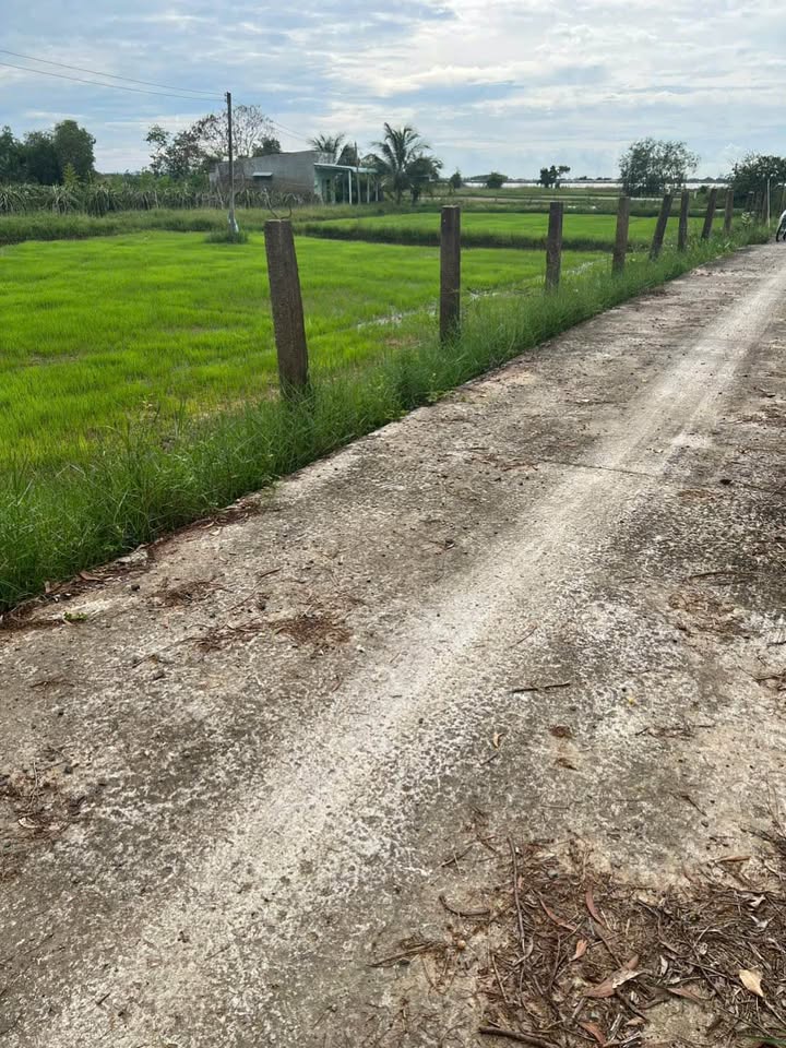 Đất nền Farm 3600m² tại Hàm Liêm - Sổ đỏ chính chủ, giá chỉ 350 triệu!