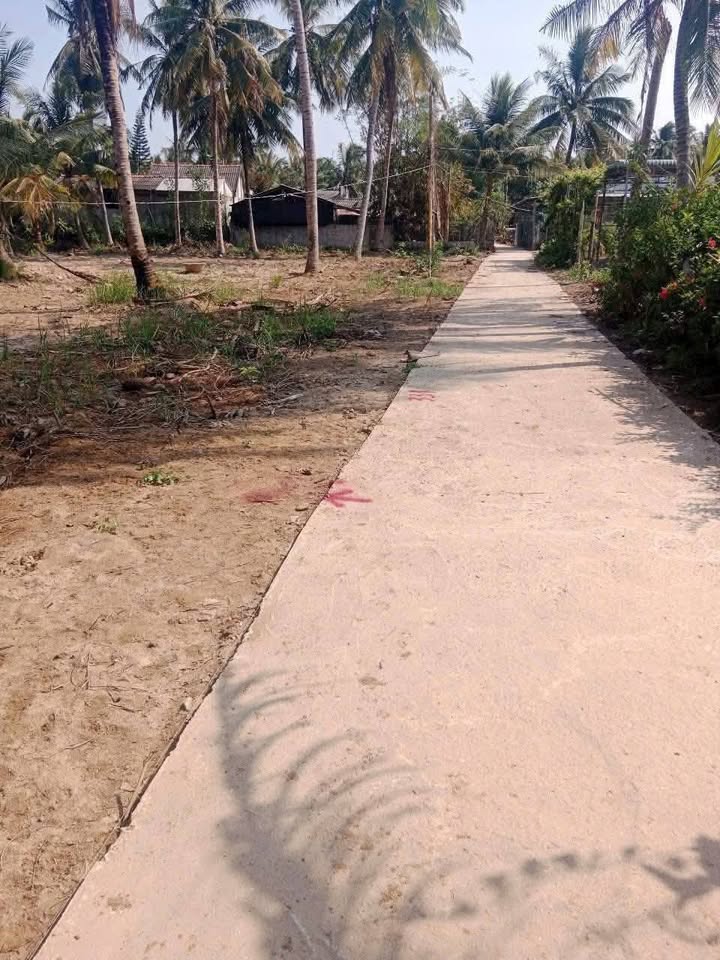 Đất nền xã Phú Vang, huyện Bình Đại, 198m² - Giá chỉ 250 triệu, vị trí đẹp!