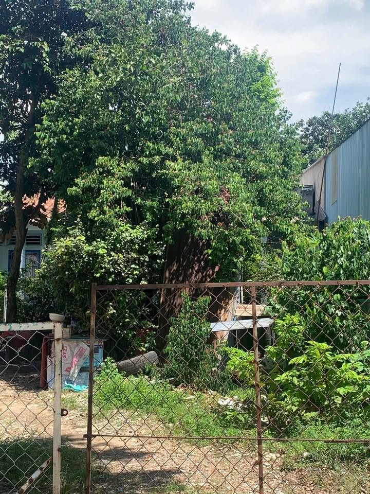 Đất nền kinh doanh đường Nguyễn Thị Minh Khai, 100m² giá 3 tỷ - Đầu tư sinh lời ngay!