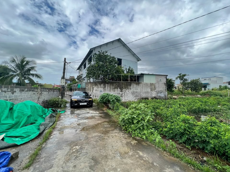 Đất nền chính chủ Tân Linh - Kiến Thụy 87,4m² - Vị trí đắc địa gần chợ Gốc Đa!