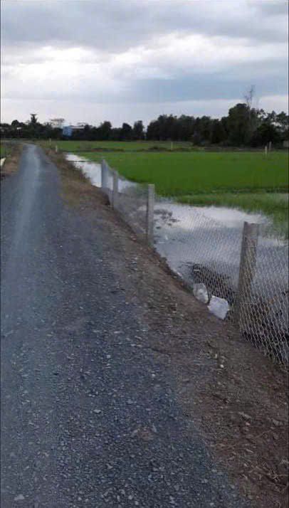 Đất nền ấp 2, xã Tân Đông, Thạnh Hóa 1.373m² giá 1.4 tỷ - Cơ hội đầu tư tuyệt vời!