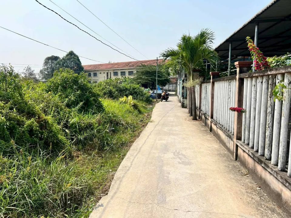 Đất vườn 1.500m² tại Thạnh Đức, Bến Lức giá 2.5 tỷ - Tiềm năng phát triển cao!