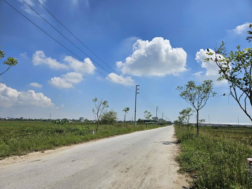 Đất liền kề 250m² tại Quảng Lưu, Quảng Xương - Giá chỉ 2.95 tỷ, phù hợp kinh doanh!