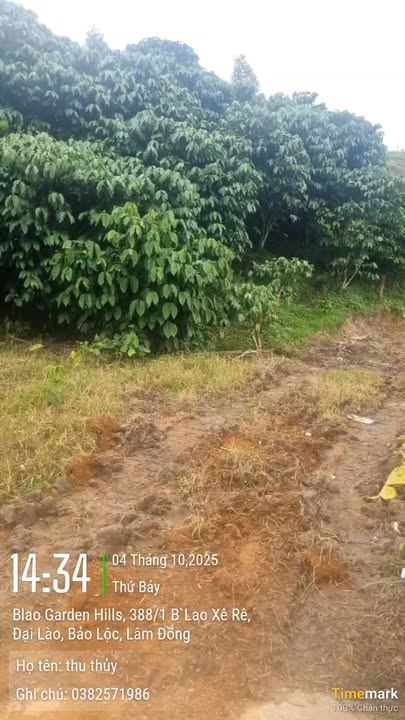 Đất nền khu phố 11, phường Đại Lào 2520m² giá 2.8 tỷ - Đường bê tông, tiện ích đầy đủ!