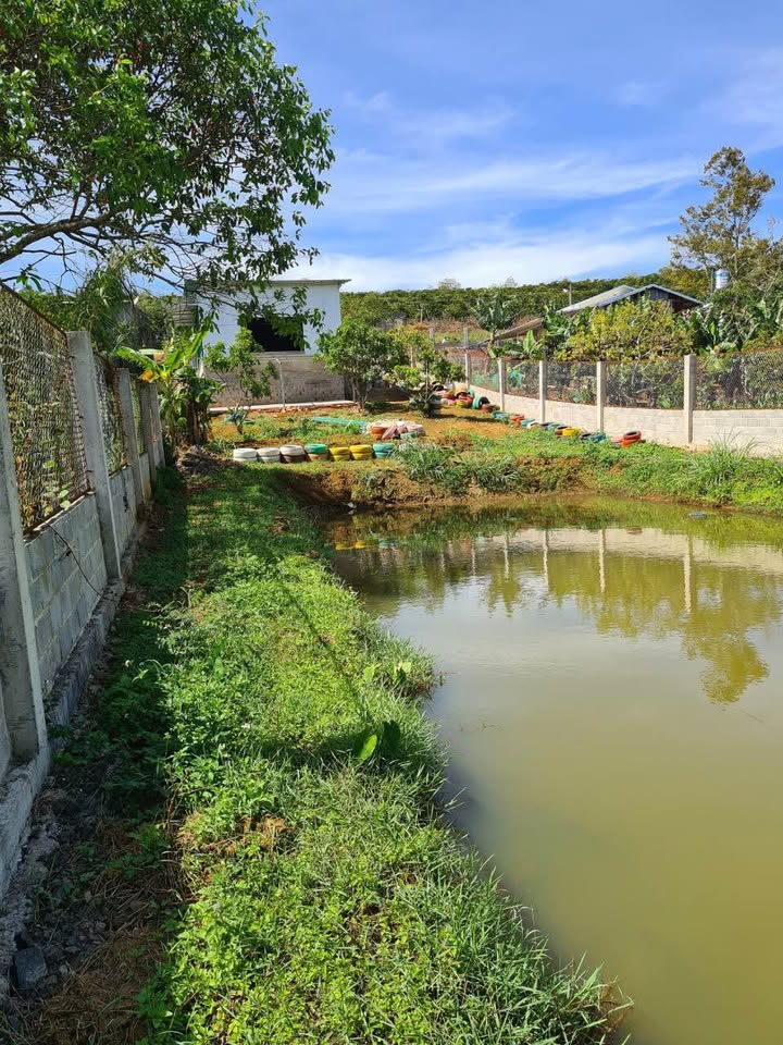 Nhà vườn Bảo Lộc 1050m² giá 4.5 tỷ - View hồ nghỉ dưỡng tuyệt đẹp!