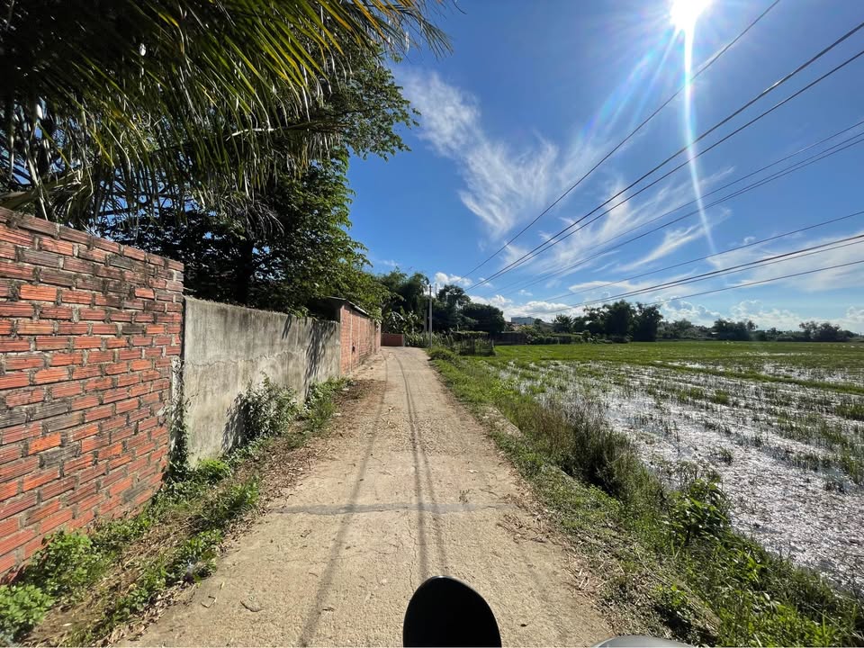 Đất thổ cư Phước Hòa 1063m² giá 1 tỷ - Đường ô tô vào tận nơi!