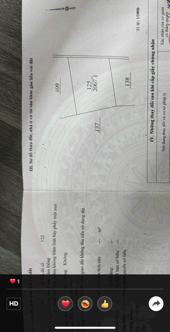 Đất nền Bảo Lộc 8000m² giá 1.13 tỷ - Cơ hội đầu tư tuyệt vời!