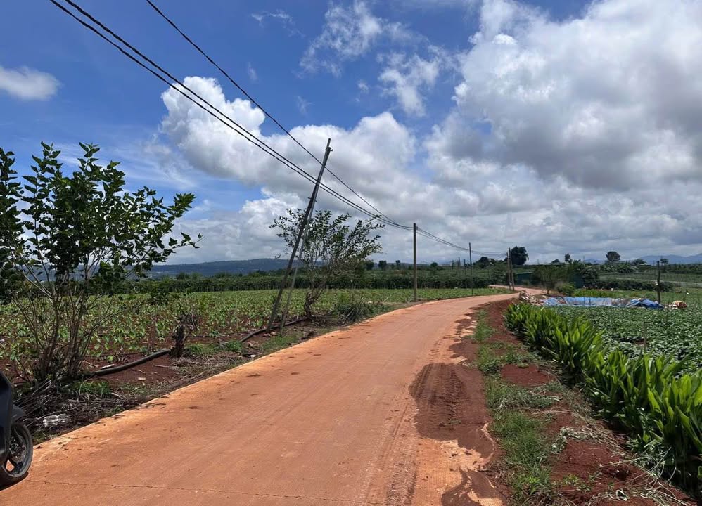 Đất nền 2 mặt tiền đường Ba Cản, xã Tân Hội, 1500m² chỉ 2.4 tỷ - Cơ hội đầu tư tuyệt vời!