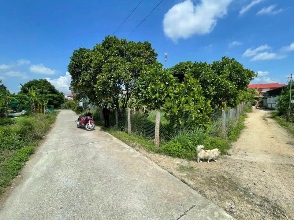 Đất nền Diên An, Nha Trang 200m² giá 6.486 tỷ - Đầu tư sinh lời cao!