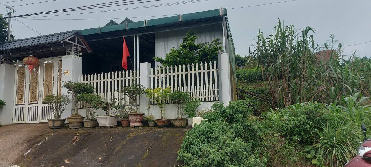 Đất nền mặt tiền Phó Đức Chính, Bảo Lộc 130m² giá 1.29 tỷ - Cơ hội đầu tư sinh lời!