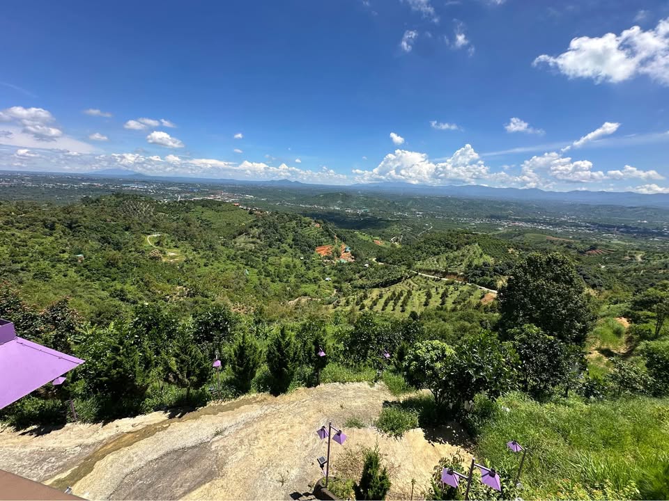 Nhà mặt tiền Phan Đình Phùng Bảo Lộc 171.6m² giá 7.99 tỷ - Đầu tư sinh lời ngay!