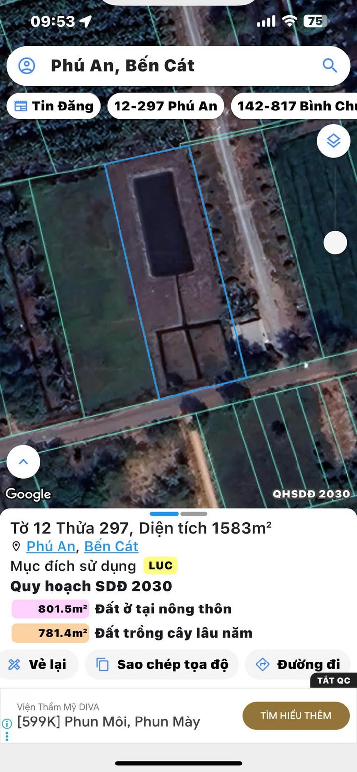 Đất nền Phú An Bến Cát 1500m² - Phù hợp làm nhà vườn tuyệt đẹp!