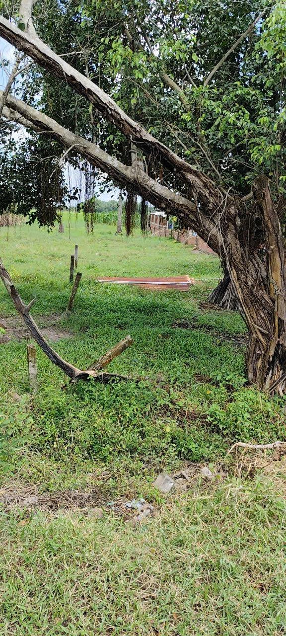 Đất thổ cư 386m² gần KCN Phước Đông - Giá chỉ 900 triệu!