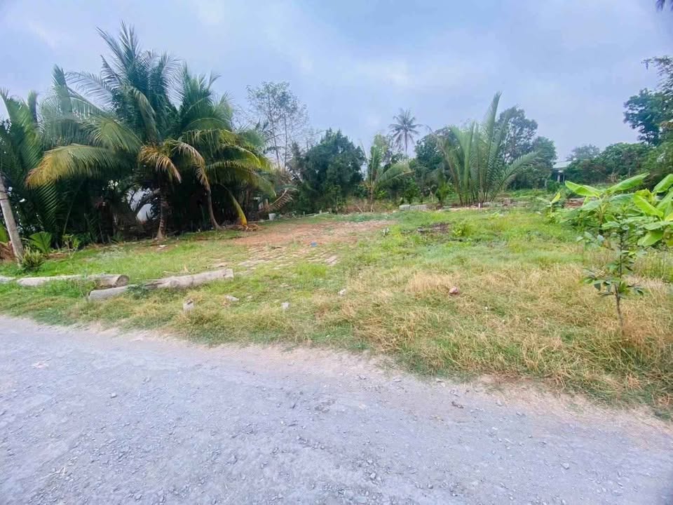 Đất thổ cư 100% Mỹ Phước, Mang Thít, Vĩnh Long 104,5m² giá 240 triệu - Vị trí thuận lợi, sổ riêng ngay!