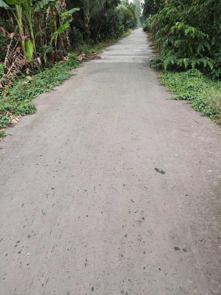 Đất nền 444m² tại Bình Thạnh Trung, Lấp Vò - Giá chỉ 850 triệu, cơ hội đầu tư tuyệt vời!