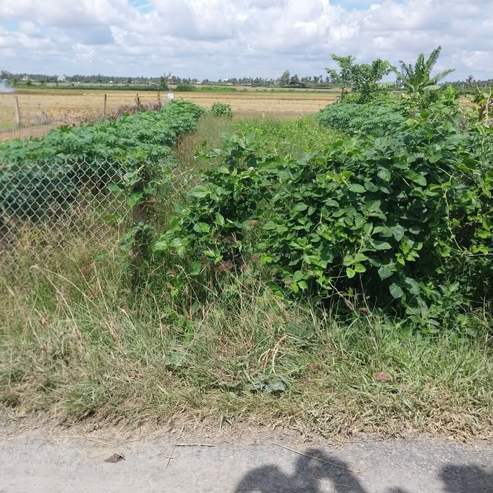 Đất thổ cư Long Bình Gò Công Tây 184m² giá 450 triệu - Đầu tư sinh lời lý tưởng!