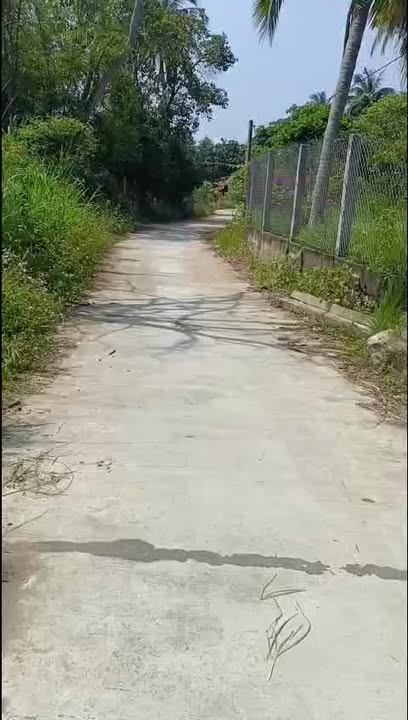 Đất nền Mỹ Lợi - Phù Mỹ 100m² giá chỉ 165 triệu - Cơ hội đầu tư tuyệt vời!