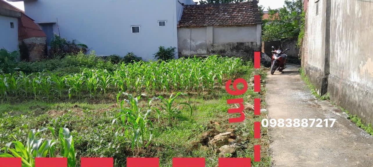 Đất nền Tiền An, Ý Yên, Nam Định 80m² - Giá thỏa thuận cực hấp dẫn!