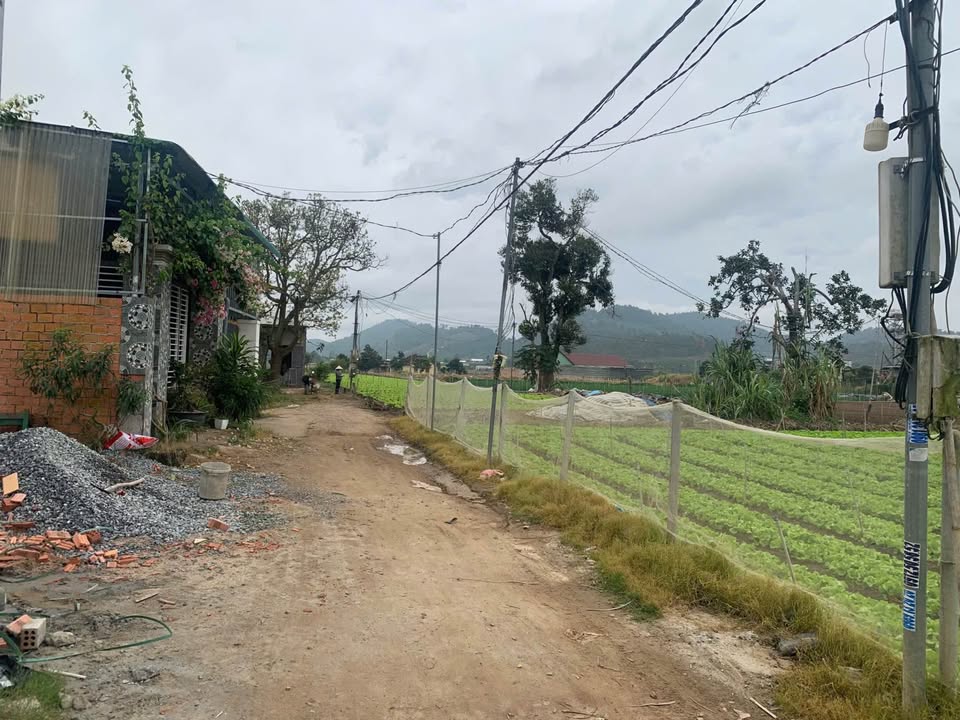 Đất nền Phú Hội Đức Trọng 500m² giá chỉ 2.1 tỷ - Cơ hội đầu tư tuyệt vời!