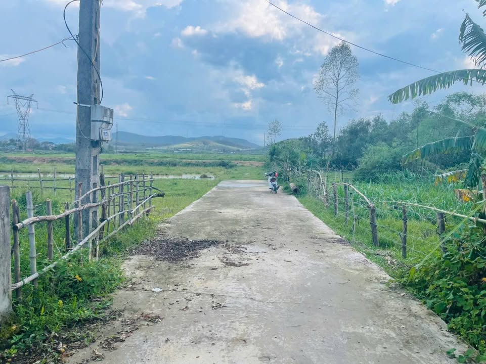 Đất thổ cư thôn Việt Yên, xã Nam Điền, 594m² giá 1.1 tỷ - Cơ hội đầu tư hấp dẫn!