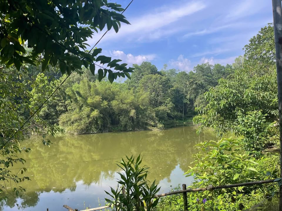 Lô đất đẹp xã Bình Thuận, Đại Từ 7000m² - Phù hợp làm trang trại nghỉ dưỡng!