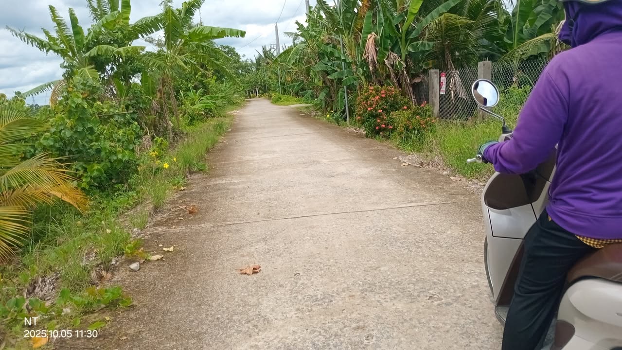 Đất nền xã Cái Nhum, Vĩnh Long 2315m² giá 800 triệu - Cơ hội đầu tư hấp dẫn!