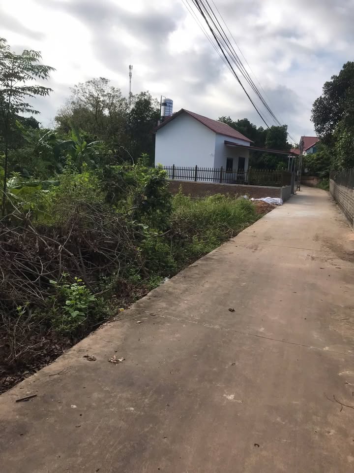 Đất nền Tân Dĩnh, Lạng Giang 200m² giá chỉ 600 triệu - Đầu tư sinh lời ngay!