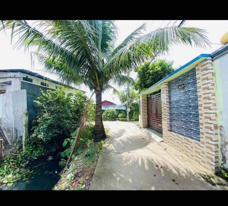 Đất 231.4m² tại Ấp 4, Đạo Thạnh, Mỹ Tho - Giá 1 tỷ, thương lượng ngay!