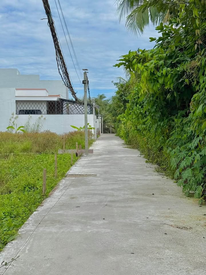 Đất nền dự án Long Hòa, Mỹ Tho 80m² giá 1 tỷ - Đầu tư sinh lời ngay!