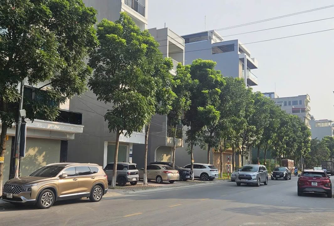 Đất nền khu nhà ở cao cấp Nguyễn Quyền Đại Dương Bắc Ninh 135m² - Đầu tư sinh lời hấp dẫn!