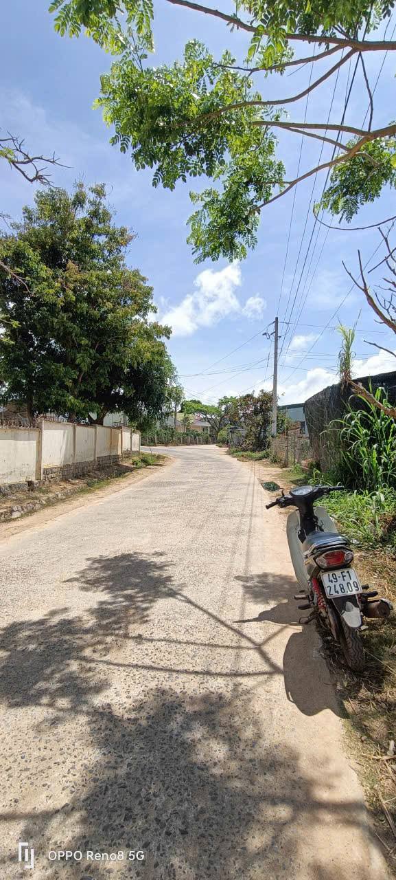 Đất nền Quảng Lập Đơn Dương 5508m² giá 1.1 tỷ - Sổ đỏ chính chủ, thương lượng nhẹ!