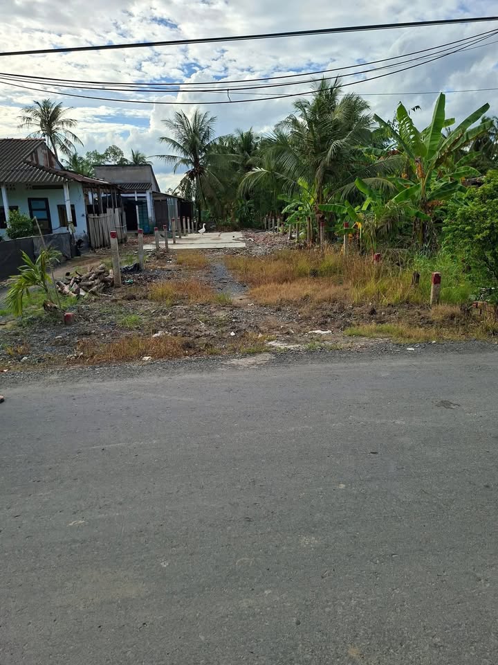 Đất nền 216m² mặt tiền đường nhựa 8m - Chỉ 650 triệu tại Gò Công Tây!