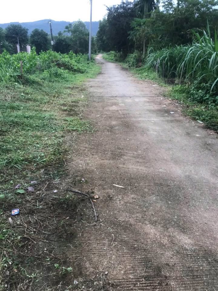 Đất vườn Tịnh Hiệp 340m² giá 200 triệu - Vị trí đắc địa, tiềm năng sinh lời!