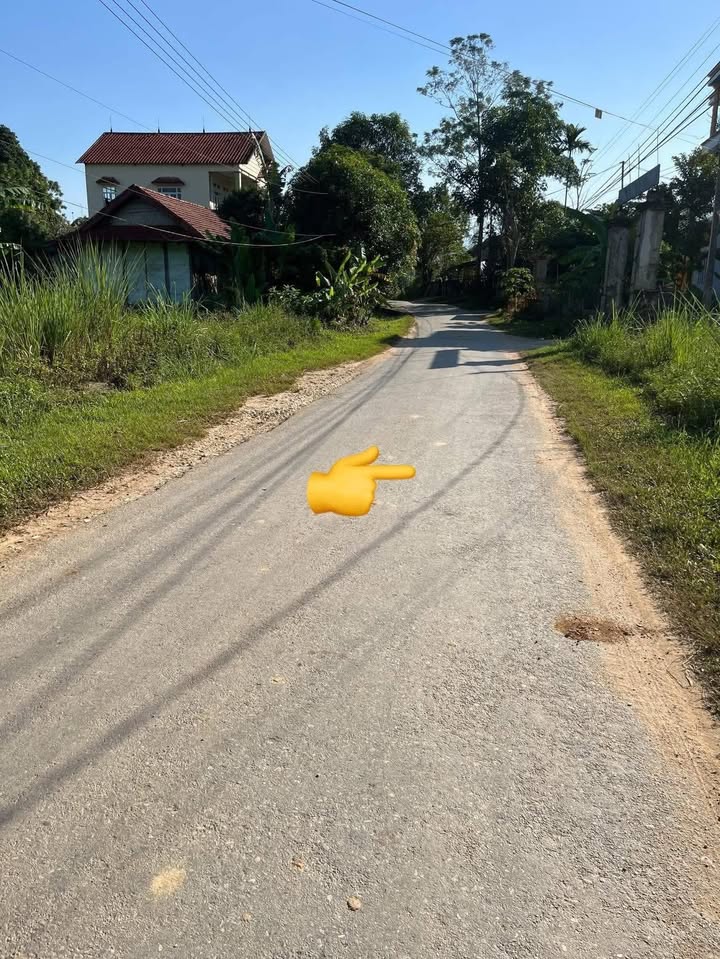 Đất thổ cư Mường Lai 250m² giá thỏa thuận - Cơ hội đầu tư sinh lời!