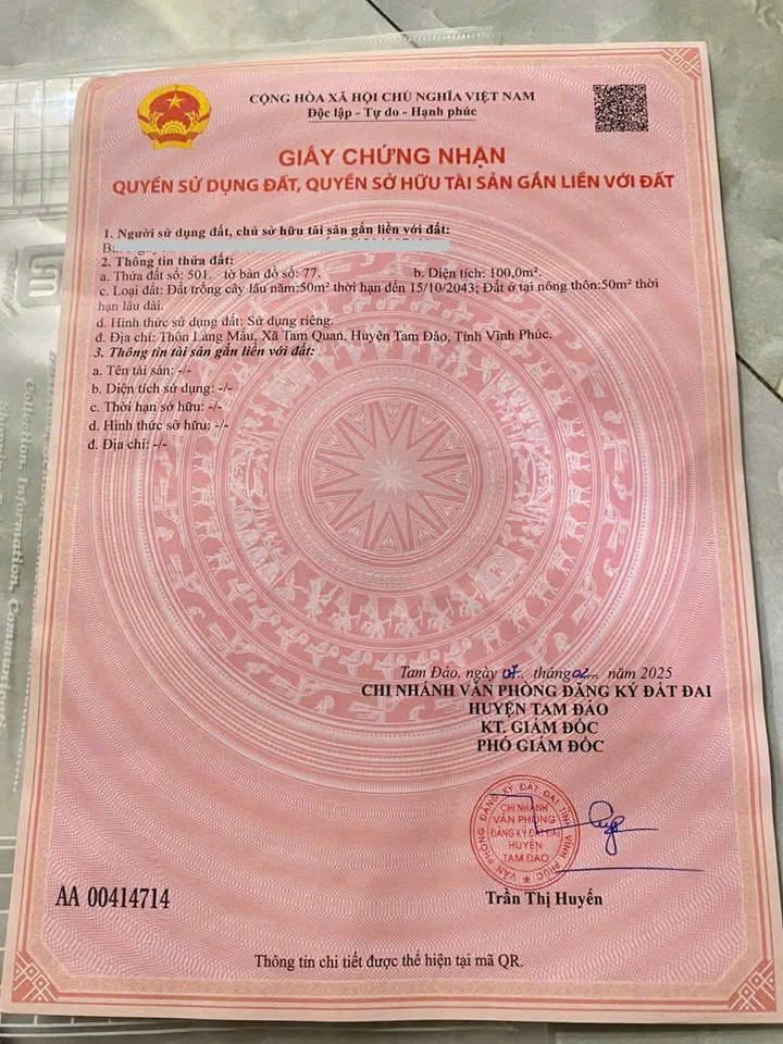 Đất Kinh Doanh Trục Chính Làng Mấu Tam Quan 100m² giá 1.4 tỷ - Cơ hội đầu tư hấp dẫn!