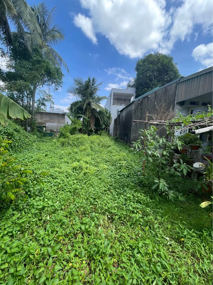 Đất nền phố 5 Quảng Hưng 94m² giá 1.05 tỷ - Đường ô tô vào tận nơi!