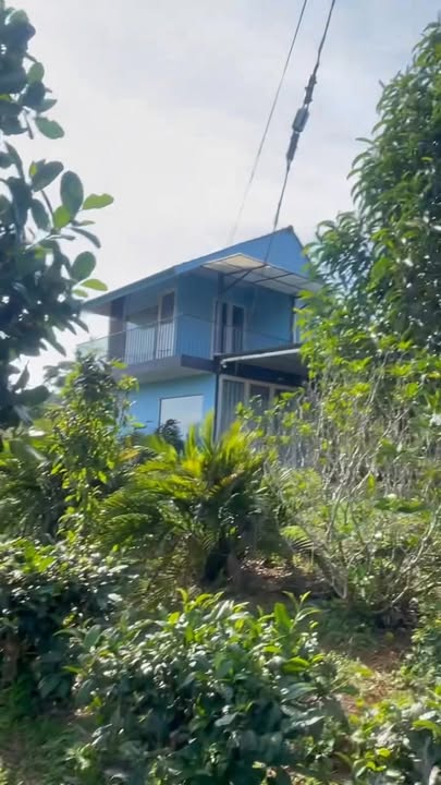 Đất nền Lộc An 766.26m² giá 1.35 tỷ - Cơ hội đầu tư hấp dẫn!