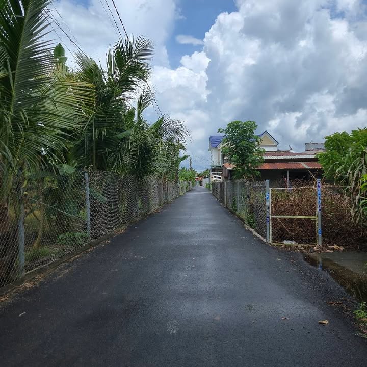 Đất mặt tiền nhựa Tam Long, TP. Bà Rịa 3000m² - Đầu tư sinh lời ngay!