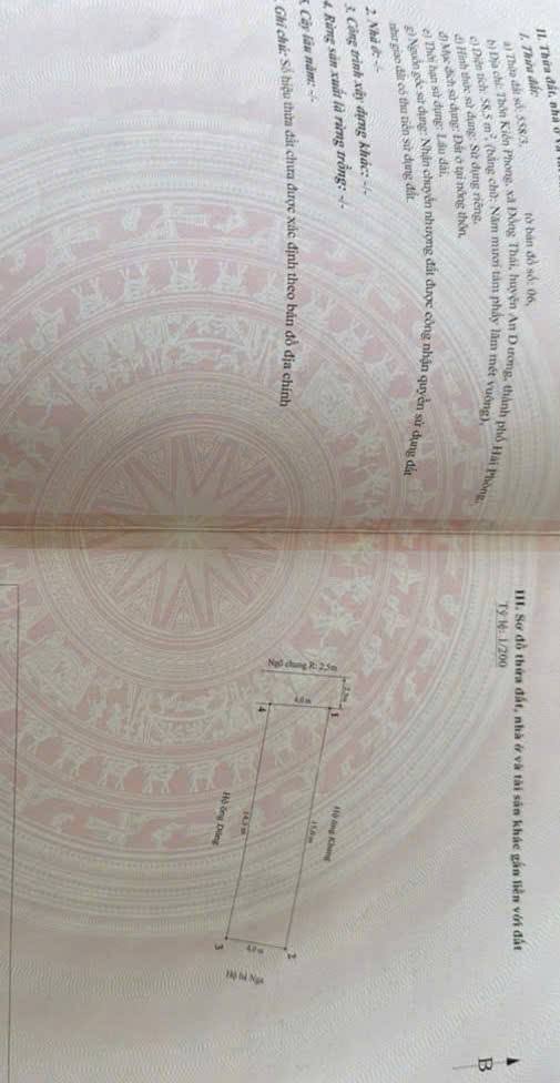 Đất liền kề An Kim Hải, Đồng Thái, An Dương 56-58m² giá 1.3 tỷ - Đường ô tô vào tận nơi!